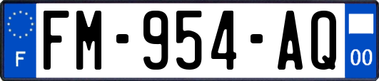 FM-954-AQ