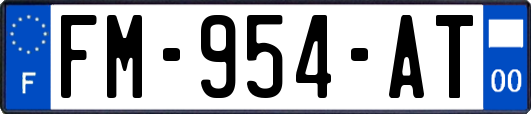 FM-954-AT