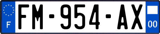 FM-954-AX