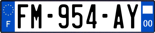 FM-954-AY
