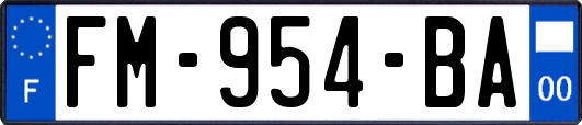 FM-954-BA