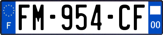 FM-954-CF