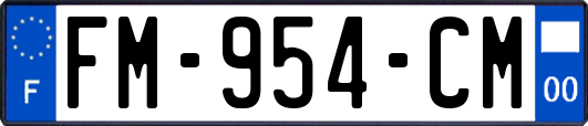 FM-954-CM