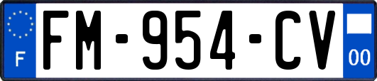 FM-954-CV