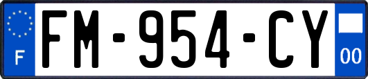 FM-954-CY