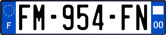 FM-954-FN