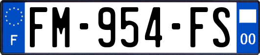 FM-954-FS