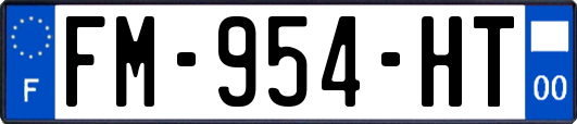FM-954-HT