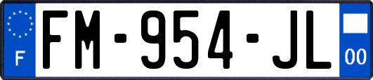 FM-954-JL
