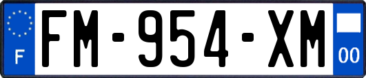 FM-954-XM