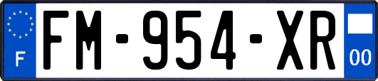 FM-954-XR