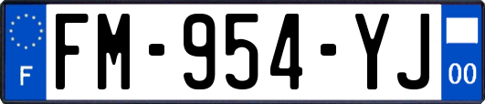 FM-954-YJ