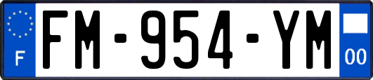 FM-954-YM