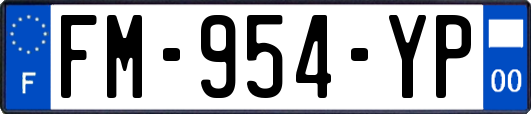 FM-954-YP