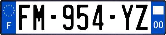 FM-954-YZ