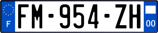 FM-954-ZH