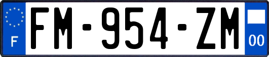 FM-954-ZM