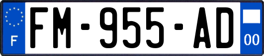 FM-955-AD