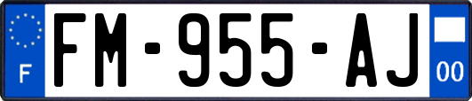 FM-955-AJ