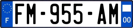 FM-955-AM