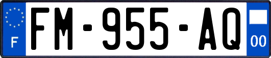 FM-955-AQ