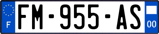 FM-955-AS