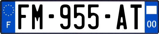 FM-955-AT