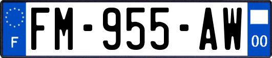 FM-955-AW