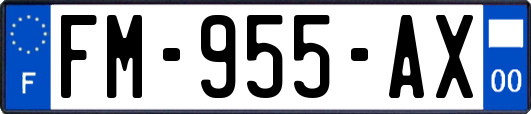 FM-955-AX