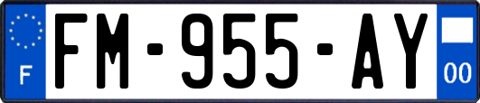 FM-955-AY