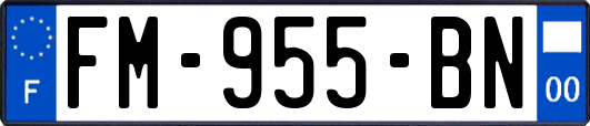 FM-955-BN