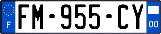 FM-955-CY