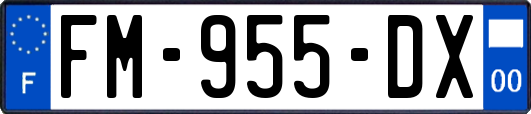 FM-955-DX