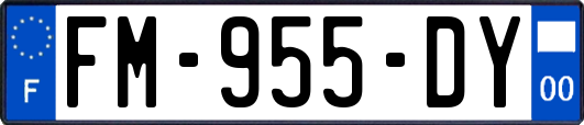 FM-955-DY
