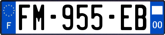 FM-955-EB