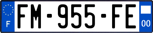 FM-955-FE