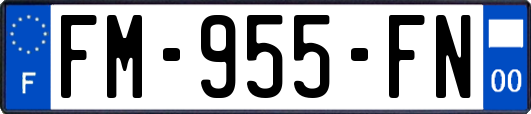 FM-955-FN