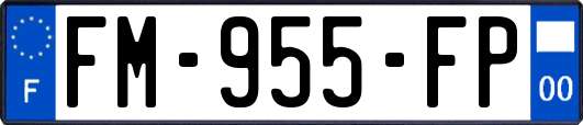FM-955-FP