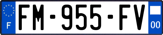 FM-955-FV