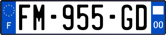 FM-955-GD