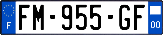 FM-955-GF