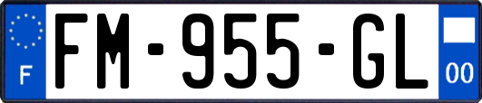 FM-955-GL