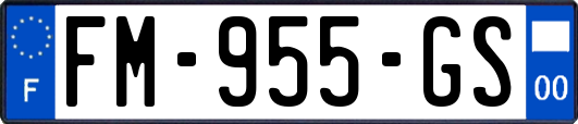 FM-955-GS
