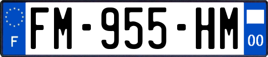 FM-955-HM