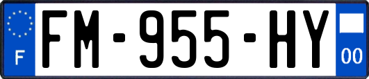 FM-955-HY
