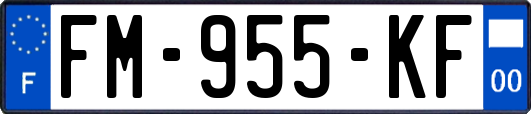 FM-955-KF