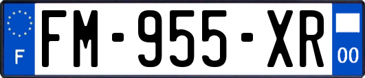 FM-955-XR