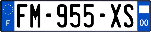 FM-955-XS