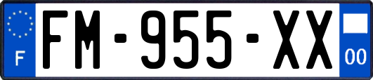 FM-955-XX