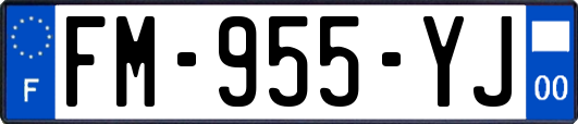 FM-955-YJ